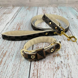 French Bulldog Pet Collar and Supplies